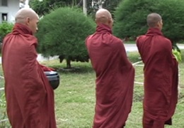 Photo des 3 moines au bol